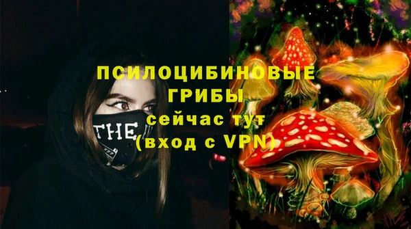 mdpv Коряжма