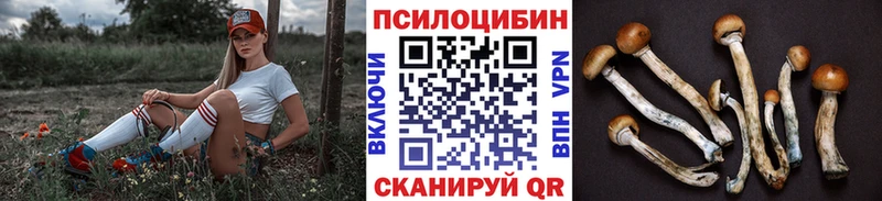 Купить  Зеленоградск  Псилоцибиновые грибы мицелий 