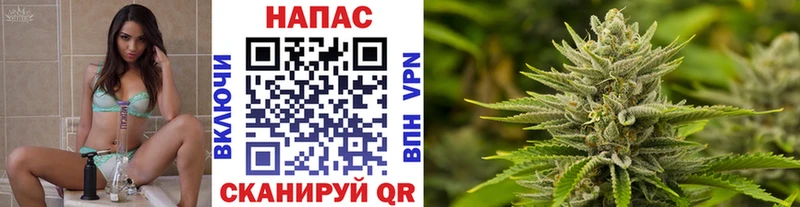 Конопля индика  Купить где  Зеленоградск 